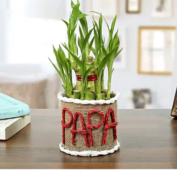 2 Layer Lucky Bamboo plant-https://i-media.vyaparify.com/vcards/products/70038/product_1727934624.png Image
