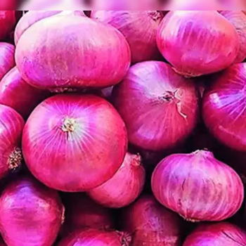 Onion HNS Exim Pvt Ltd 