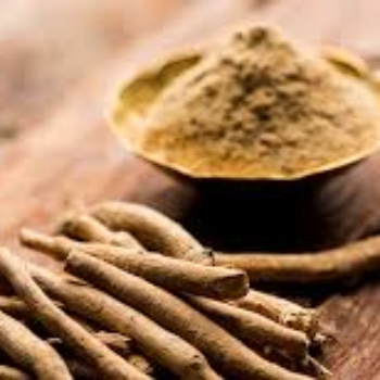 Ashwagandha Patidar Export Indore