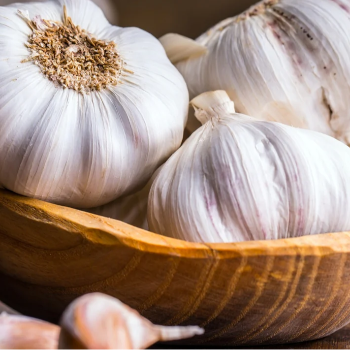 garlic Patidar Export Indore
