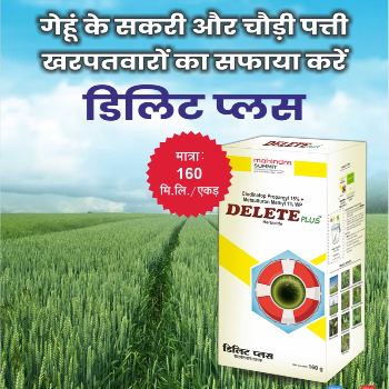DELETE PLUS Herbicide-https://i-media.vyaparify.com/vcards/products/91769/product_1732639379.png Image