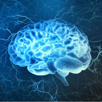 neurosurgery Ayushman Hospital Ratlam, Madhya Pradesh 457001, India