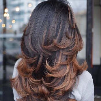 Hair Highlights | Like Rich Professional Beauty Salon | Like Rich Professional Beauty Salon Shop No.8, Ground Floor, Shree, Control Chuk, Aryan Complex, Narhe Rd, Opposite Audumbar Complex, Mokarwadi, Pune, Maharashtra 411041, India