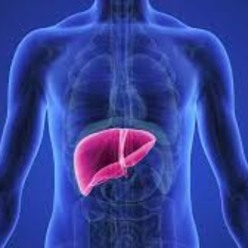 Liver Cirrhosis | Best Homeopathy Clinic In Thane, Mumbai | 8th Lane, Anand Nagar Rd, Kopri,Thane, Mumbai, Maharashtra 400603, India