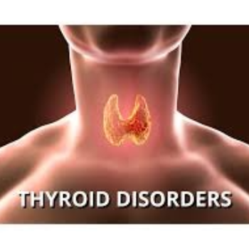 Thyroid Disorder Treatment in Pune | Expert Care for Hypothyroidism | Ayush Speciality Clinic | Pune, Maharashtra 411060, India