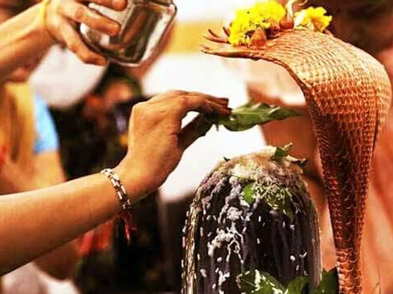 रुद्राभिषेक पूजा | Acharya Pandit Anil Agnihotri | Angareshwar Mahadev Mandir Mangalnath Ujjain