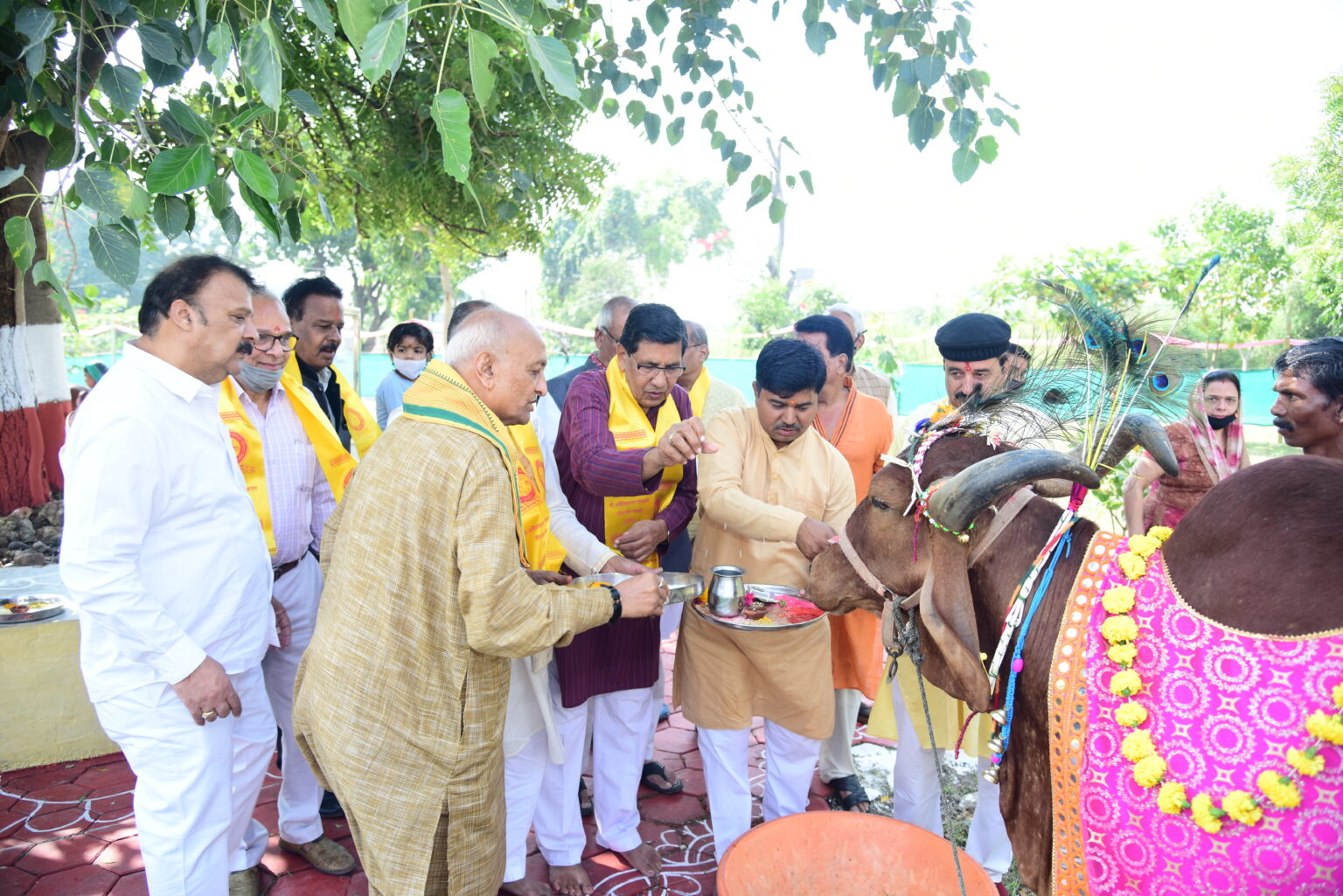 खाद्य सुरक्षा सुनिश्चित करना | Ahilyamata Guashala Indore | 81, Babu Lalchand Chajlani Rd, Lokmanya Nagar, Indore, Madhya Pradesh 452009, India