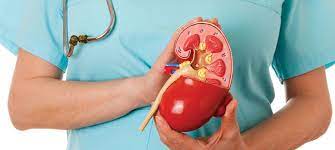 पथरी | Patidar Clinic | 15, Gpo Road, Near Patel Pharma, Opposite Of Get Well Hospital, Katju Nagar, Laxman Pura, Ratlam, Madhya Pradesh 457001