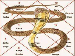 काल सर्प दोष पूजा | Hanuman Jyotish Kendra | Ujjain