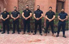 Professional Bouncer | Best Security Force | 8 Matrushakti Society, Nani Buagol, Mogri, Anand 388345