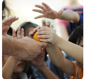 NGO for Agriculture | New Life Center | Opposite Government Medical Collage,262,Sejvata By Pass, Banjali, Ratlam, Madhya Pradesh 457001