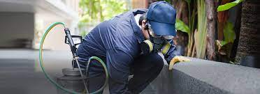 Herbal  Cockroach Pest Control Services | Citi Pest Control | Pune, Maharashtra 411058, India