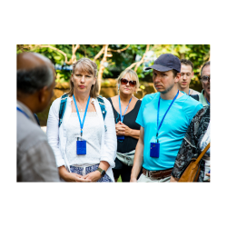 Guided Tours in India — SONPARI TOURS AND TRAVELS Son Pari Tour And Travels C -27 Coral Sector Kalindi Gold City Near Smart Kids School Indore