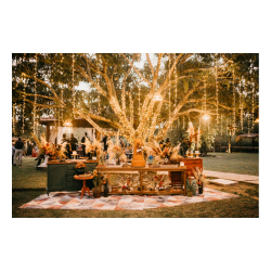 Lighting and Decor Rentals Rathore Tent House Indore