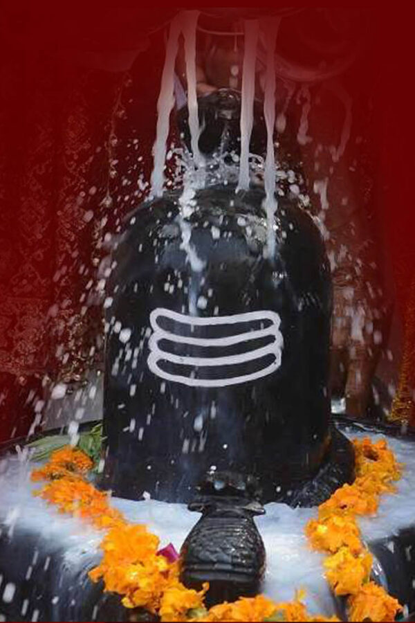 रुद्राभिषेक | Pandit Santosh Sharma Mahakal Guru | Omkareshwar Mandir