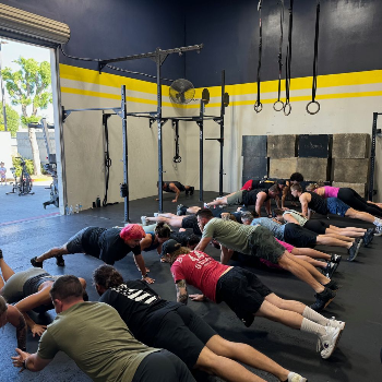 Certified Trainers & Group Sessions | Talwalkars Gym | Vaishali Nagar, 107,108,Amrapali Marg, Rathore Nagar Rd