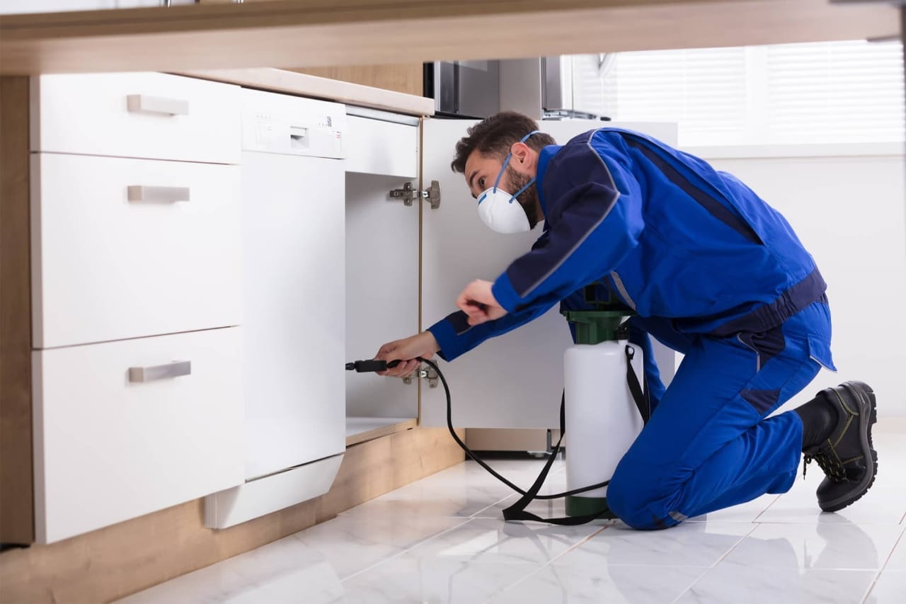 Residential Pest Control | Greater Pest Control | B-2/413, Near Govt. School, Gandhi Camp, Jalandhar- 144008