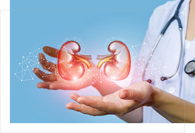 Urological Services | Shri Goverdhan Critical Care Maternity Taruna Centre | Link Road Mahavir Ward Sadar Betul M.P