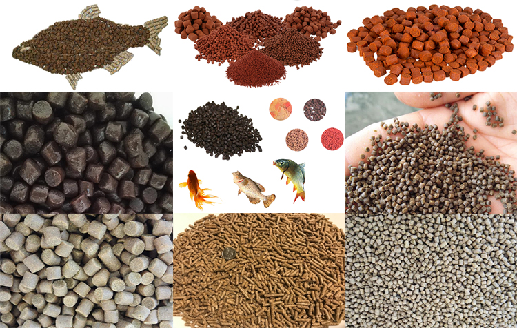 All pet food are Available SHANVI FISH AQUARIUM BENGALI CHOURAHA , KANADIA ROAD , INDORE M.P.