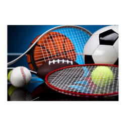 Product Sales | Shree Nath Ji Sport | 