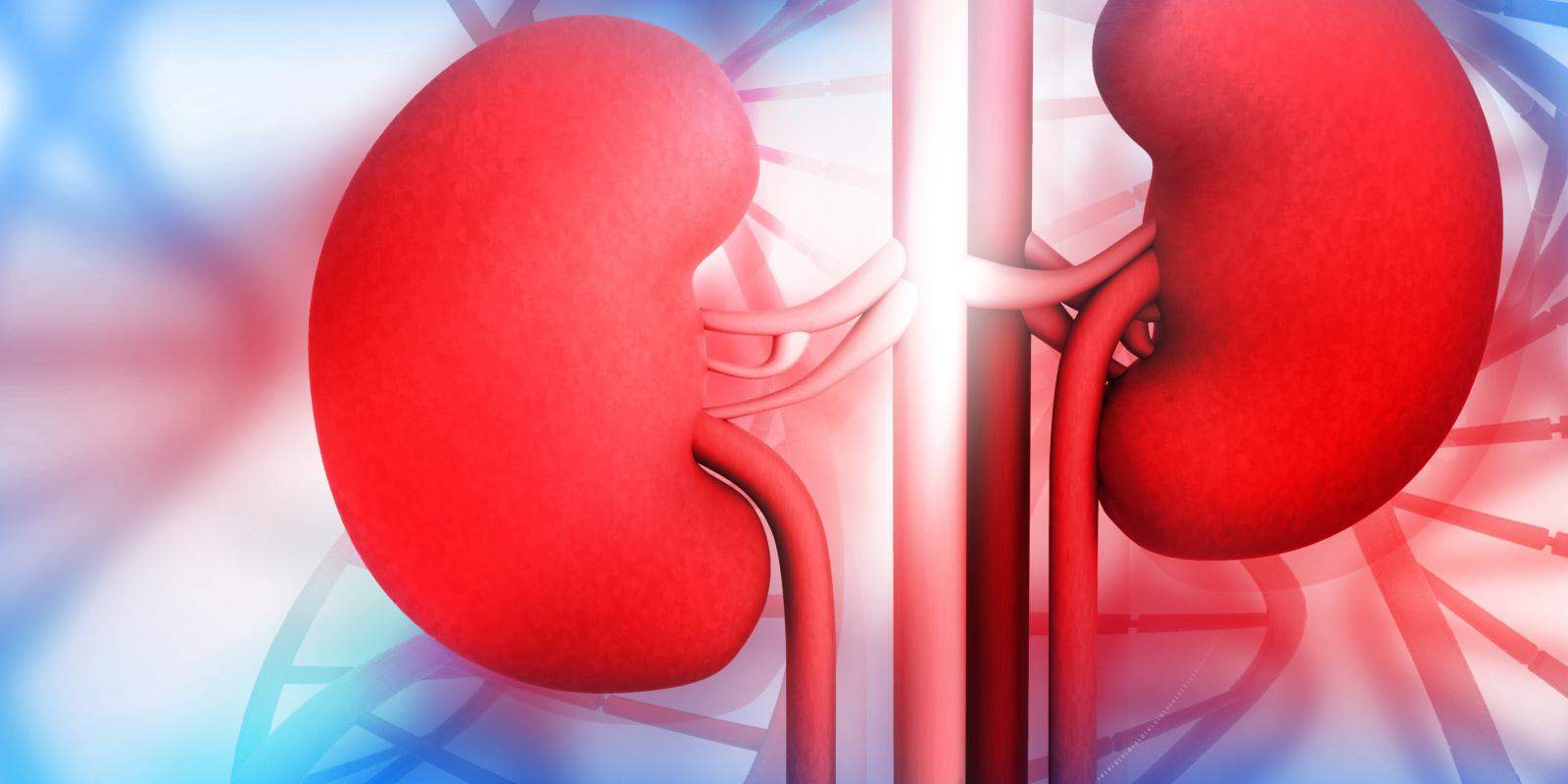 Kidney Disorder Treatment | Vatsalya Clinic | Narhe