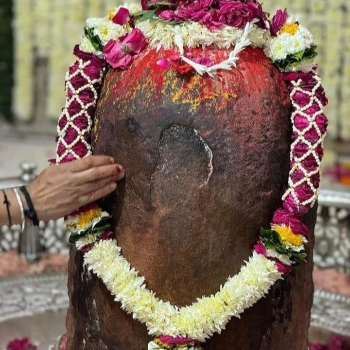 शिव रुद्राभिषेक अनुष्ठान | Kalsarp Mangal Pujan Ujjain | Ujjain, Madhya Pradesh 456001, India