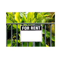 Plant Rental in India — Rahul prajapati Rahul Prajapati Satwash Main Road