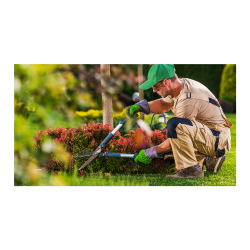 Landscaping services in India — Rahul prajapati Rahul Prajapati Satwash Main Road