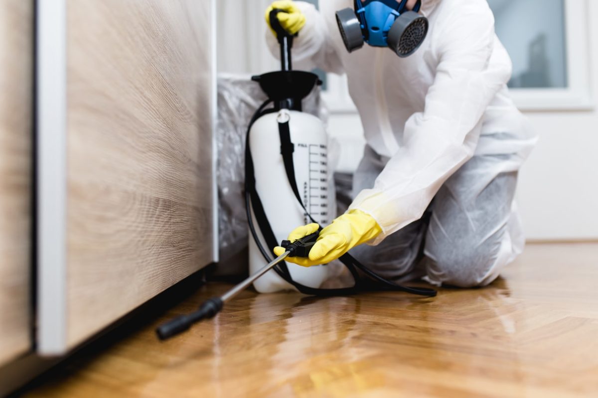 Pest Control Solutions in Panaji, Goa | Rio Integrated Facility Service | Flat No -5, Kolwalkar Plaza, Taleigao Market, Block -B, Cardoz Waddo, Taleigao, Panaji, Goa 403002, India