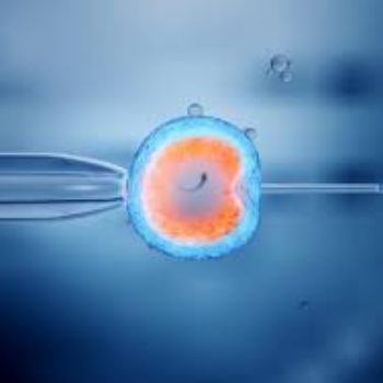 IVF | Prime Hospital | 347/7,  Opposite Gangapuri Road, Sanoli Road, Panipat, Haryana, 132103