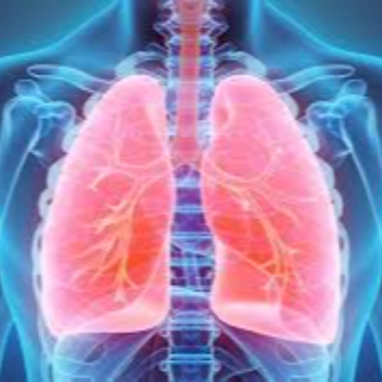 Pulmonologist | Prime Hospital | 347/7,  Opposite Gangapuri Road, Sanoli Road, Panipat, Haryana, 132103