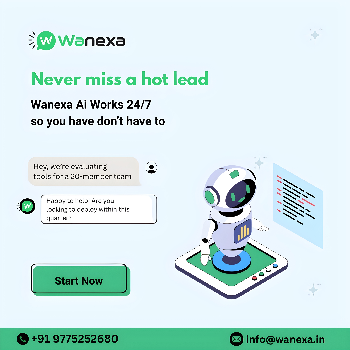 ai automation service Wanexaai 