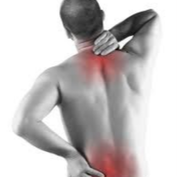 Backache Dr Amit Kumar Gupta, Homeopathic Doctor Ghaziabad, Uttar Pradesh 201010, India