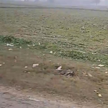 Verified 42 Bigha Agriculture Land For Sale in Rampur,Kasimpur,Aligarh,Uttar Pradesh Shree Shyam Reality 2,Vrindavan Vihar,Ramghat Road,Aligarh, Uttar Pradesh 202001, India