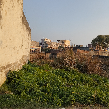 111 गज प्लॉट गोकुलेशपुरम कॉलोनी में Shree Shyam Reality 2,Vrindavan Vihar,Ramghat Road,Aligarh, Uttar Pradesh 202001, India