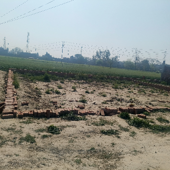 अलीगढ़ में 300 गज प्लॉट Boner चौराहा के पास | Shree Shyam Reality | 2,Vrindavan Vihar,Ramghat Road,Aligarh, Uttar Pradesh 202001, India