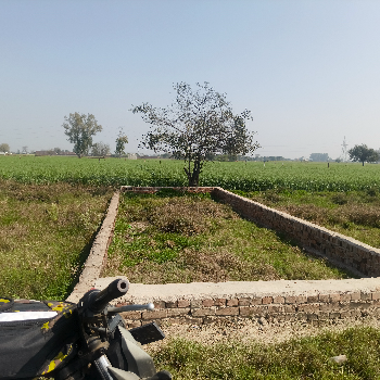 100 गज प्लॉट बनर के पास अर्जेंट बिकाऊ है | Shree Shyam Reality | 2,Vrindavan Vihar,Ramghat Road,Aligarh, Uttar Pradesh 202001, India