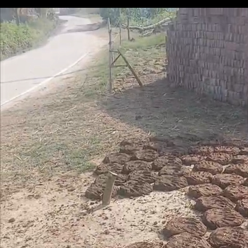 छर्रा के पास 8 बीघा जमीन अर्जेंट बिकाऊ है | Shree Shyam Reality | 2,Vrindavan Vihar,Ramghat Road,Aligarh, Uttar Pradesh 202001, India