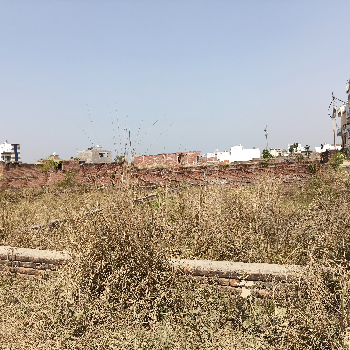 210 गज प्लॉट मदन पैलेस के सामने | Shree Shyam Reality | 2,Vrindavan Vihar,Ramghat Road,Aligarh, Uttar Pradesh 202001, India