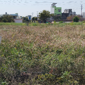 250 गज प्लॉट केंद्रीय विद्यालय के पीछे बिकाऊ है | Shree Shyam Reality | 2,Vrindavan Vihar,Ramghat Road,Aligarh, Uttar Pradesh 202001, India