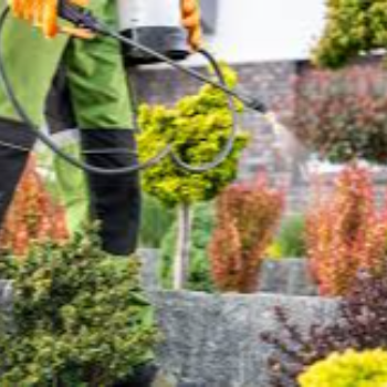 Pest control and plant support Urban Gardener Vapi Urban Gardener Shraddha Residency, Plot No 24, Salvav Road, Rata, Vapi, Gujarat 396191, India