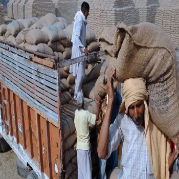 Rice & Paddy Transportation URJA LOGISTIC 321 , EDGE COMPLEX MOWA , VIDHAN SABHA ROAD