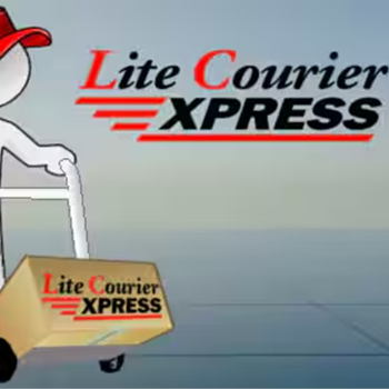 DTDC Lite Courier Express – Affordable Domestic Courier in Ballabgarh at Chhavi Enterprises – DTDC Courier Service in Ballabgarh, Faridabad, Faridabad