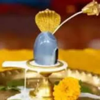 Rudrabhishek puja in Ujjain at Pandit Chetan Sharma – Kaal Sarp Dosh and Mangal Bhat Puja, Agar