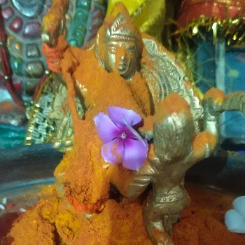मां बगलामुखी हल्दी अर्चन पुजन at Pandit Chetan Sharma – Kaal Sarp Dosh and Mangal Bhat Puja, Agar