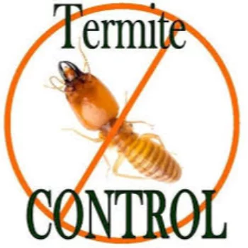 Termite Control BUGMAN | Pest Control Services Adipur, Gandhidham - Kutch ORH, 158, Sadhu Vaswani Nagar, Ward 4B, Adipur, Gandhidham, Gujarat 370205