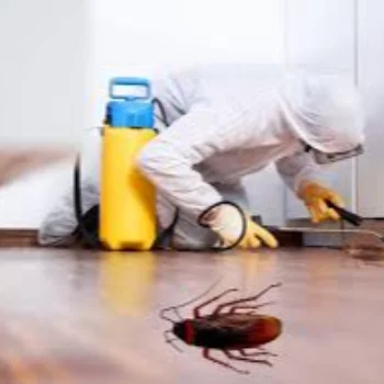 Cockroach Control BUGMAN | Pest Control Services Adipur, Gandhidham - Kutch ORH, 158, Sadhu Vaswani Nagar, Ward 4B, Adipur, Gandhidham, Gujarat 370205