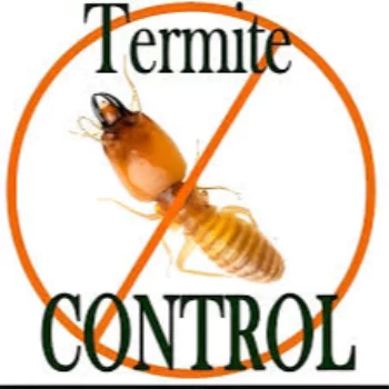 Termite Pest Control Service in kutch BUGMAN | Pest Control Services Adipur, Gandhidham - Kutch ORH, 158, Sadhu Vaswani Nagar, Ward 4B, Adipur, Gandhidham, Gujarat 370205