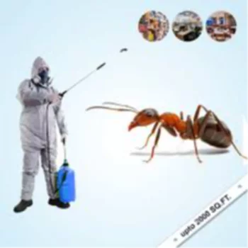 Ant Control Service in kutch at BUGMAN | Pest Control Services Adipur, Gandhidham - kutch, Abrama