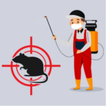 Rodent Control Service in kutch at BUGMAN | Pest Control Services Adipur, Gandhidham - kutch, Abrama